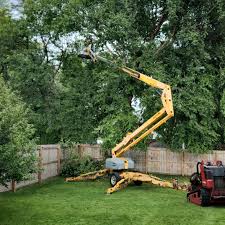 Best Commercial Tree Services  in Cutlerville, MI